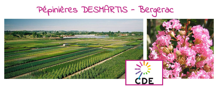 CDE24 aux pépinières DESMARTIS-Bergerac